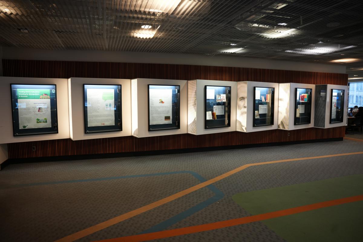 Exhibition installed in seven display cases